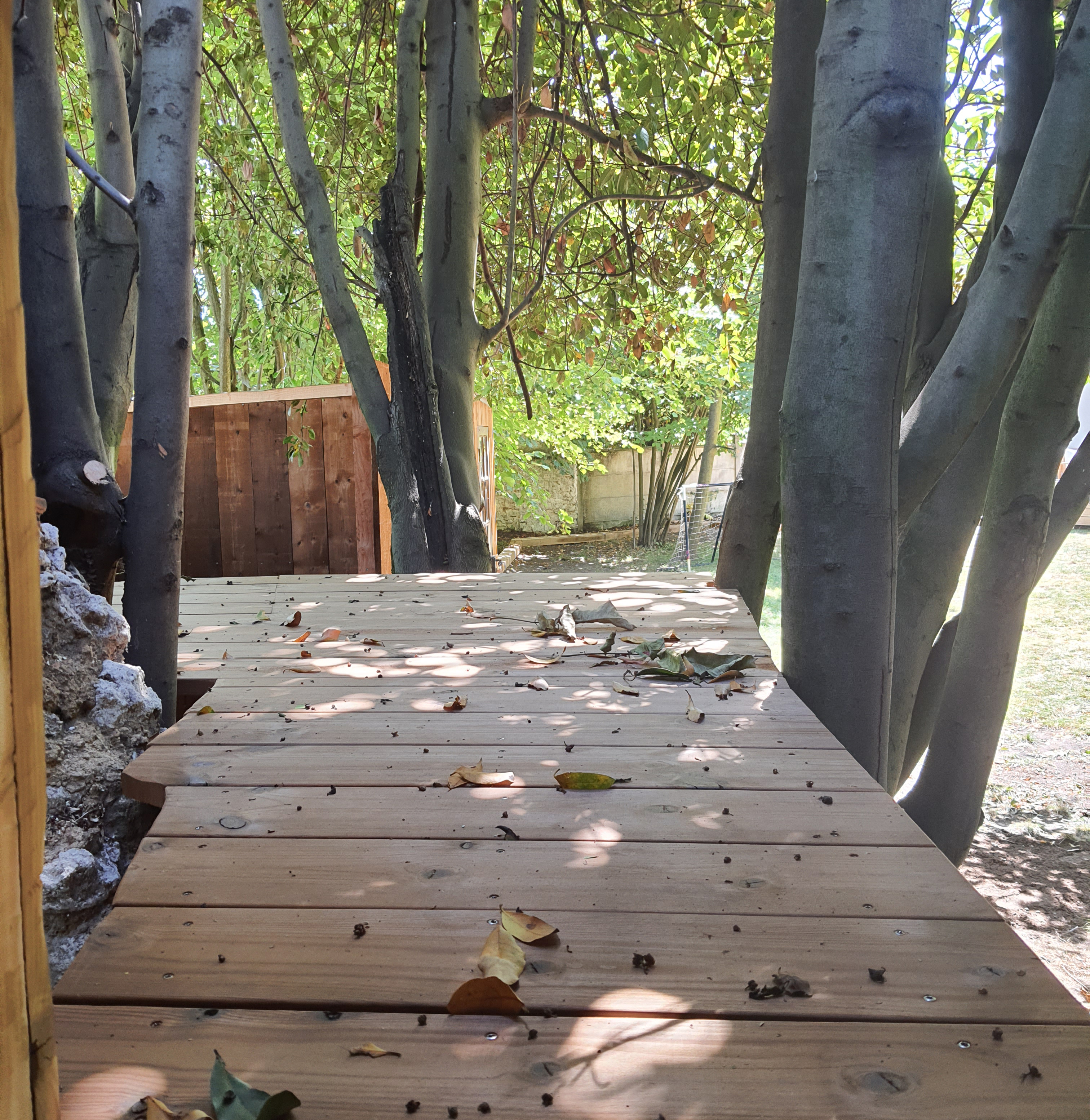 Plancher construit entre les arbres