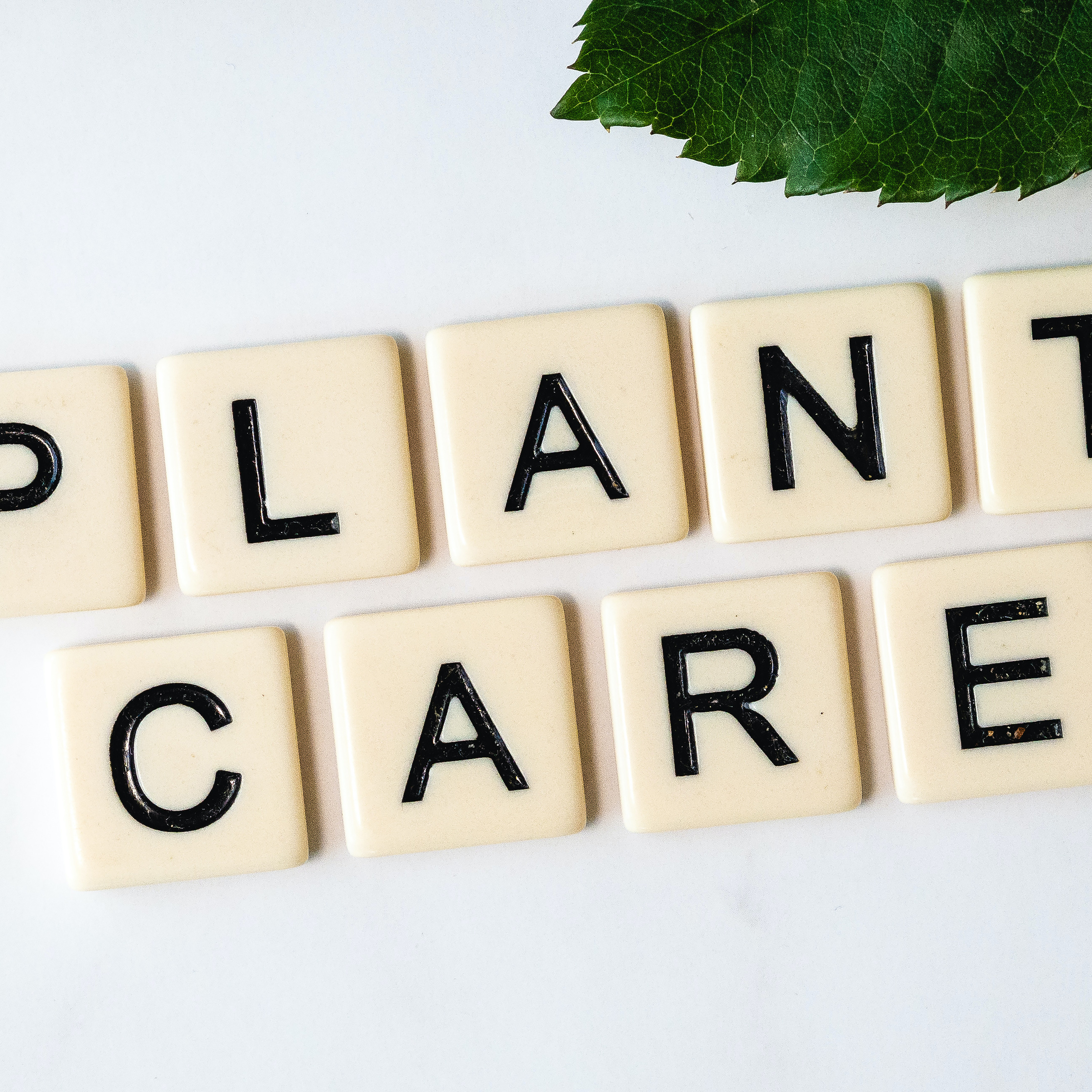 maladies des végétaux