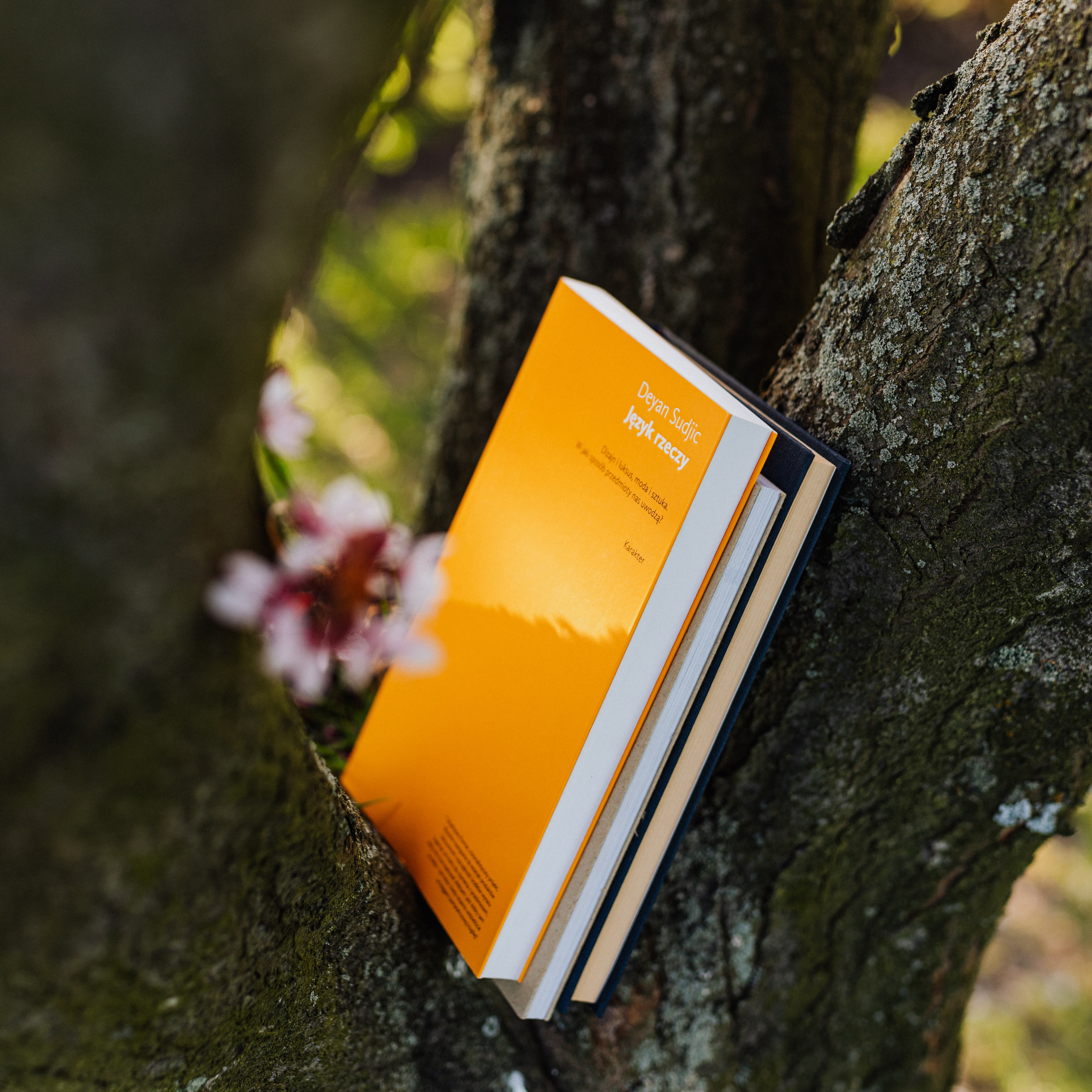 Travaux de défrichage, débroussaillage, etc